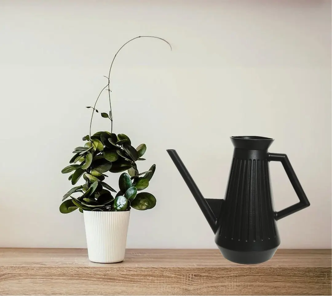 Decoris Gieter 1,8L - Zwart