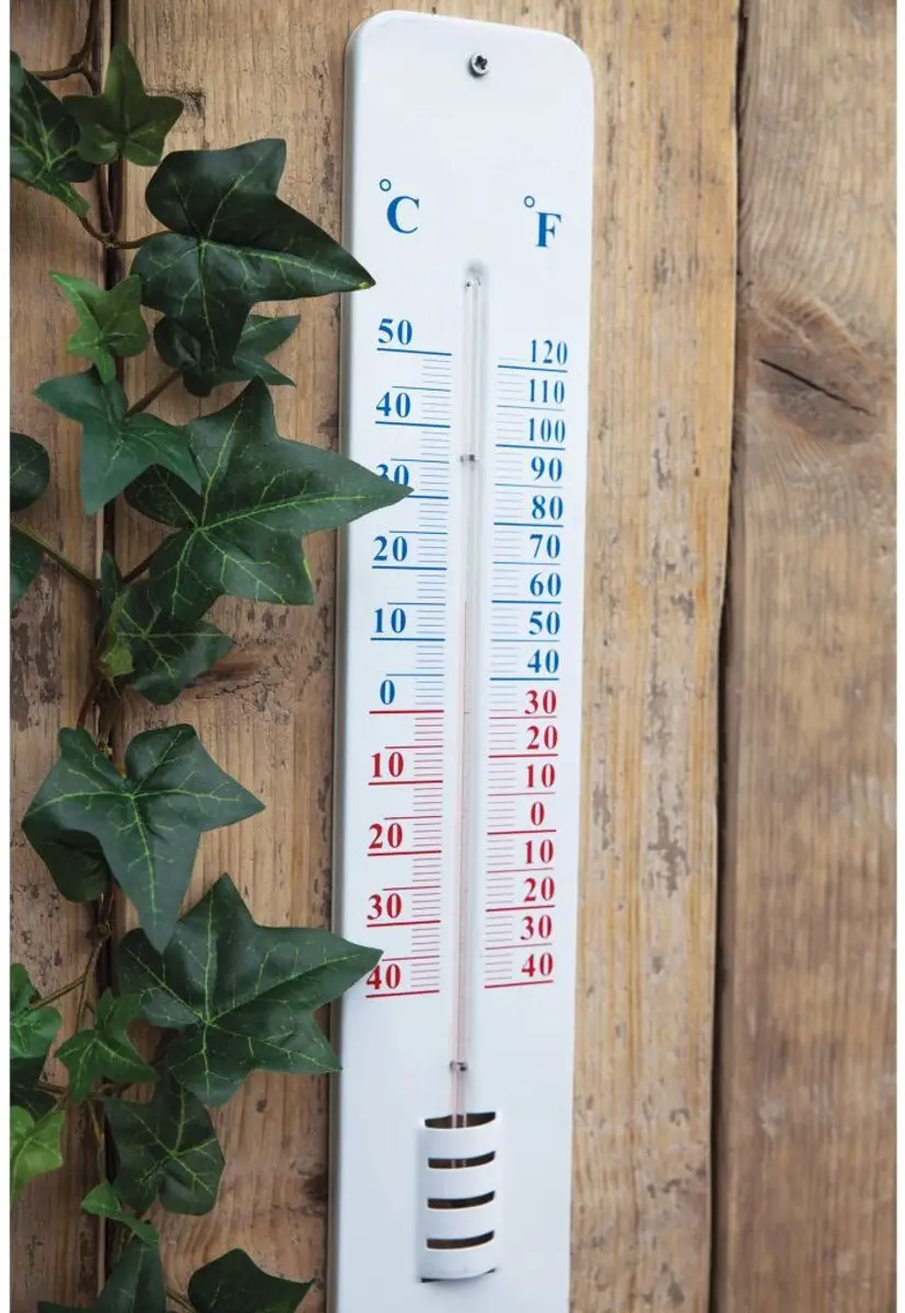 Esschert Design Thermometer Op Wandplaat - Wit