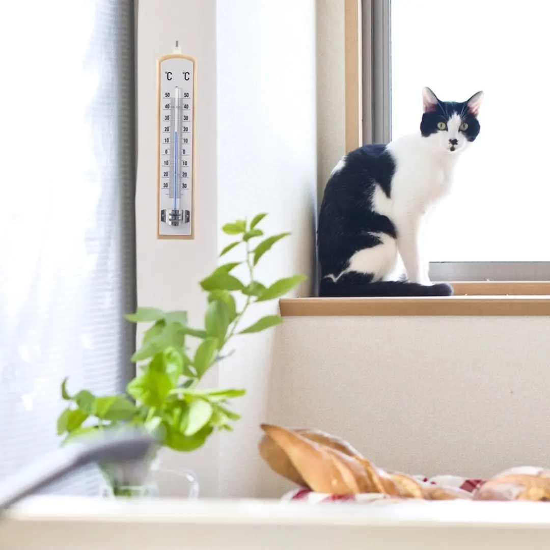 Orion Houten Buitenthermometer 21cm - Klassiek Design