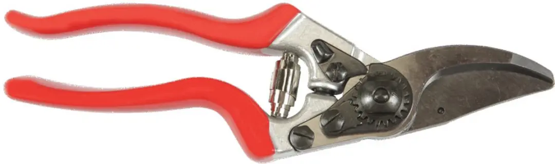 Felco 8 Snoeischaar