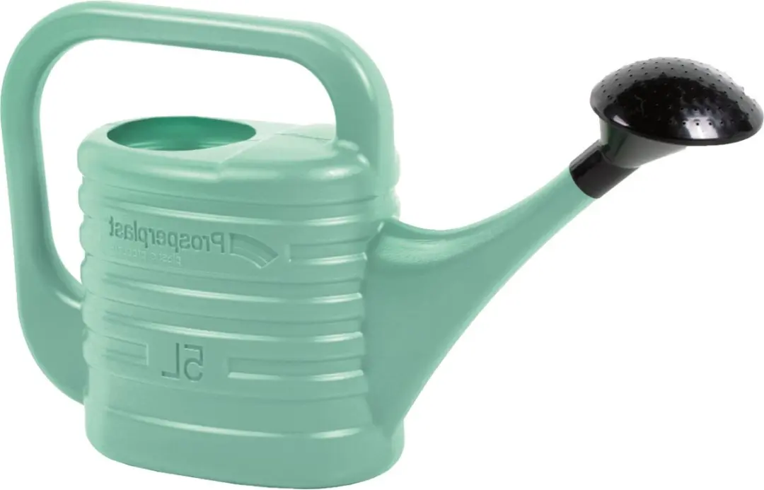 Prosperplast Gieter met broeskop 5L - Mintgroen