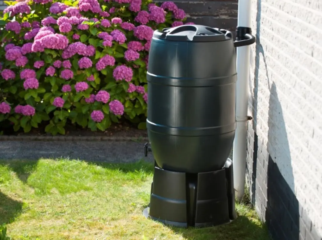 Intergard Regenton 120L