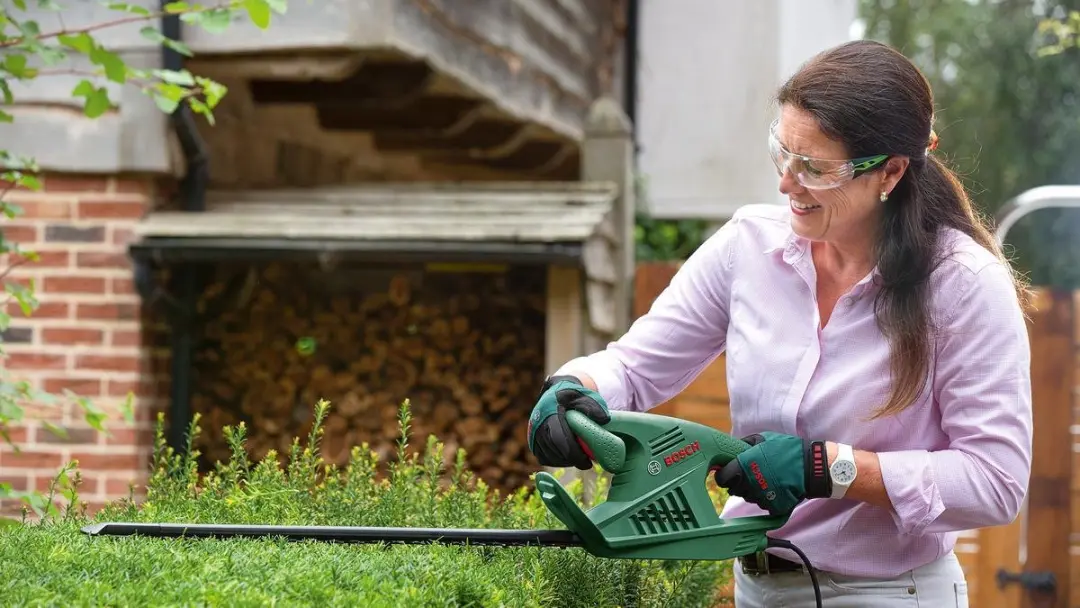 Bosch EasyHedgeCut 45 Heggenschaar 420W
