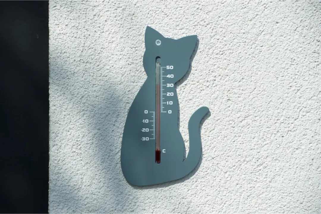Nature Buitenthermometer Kat Poes Grijs 15cm