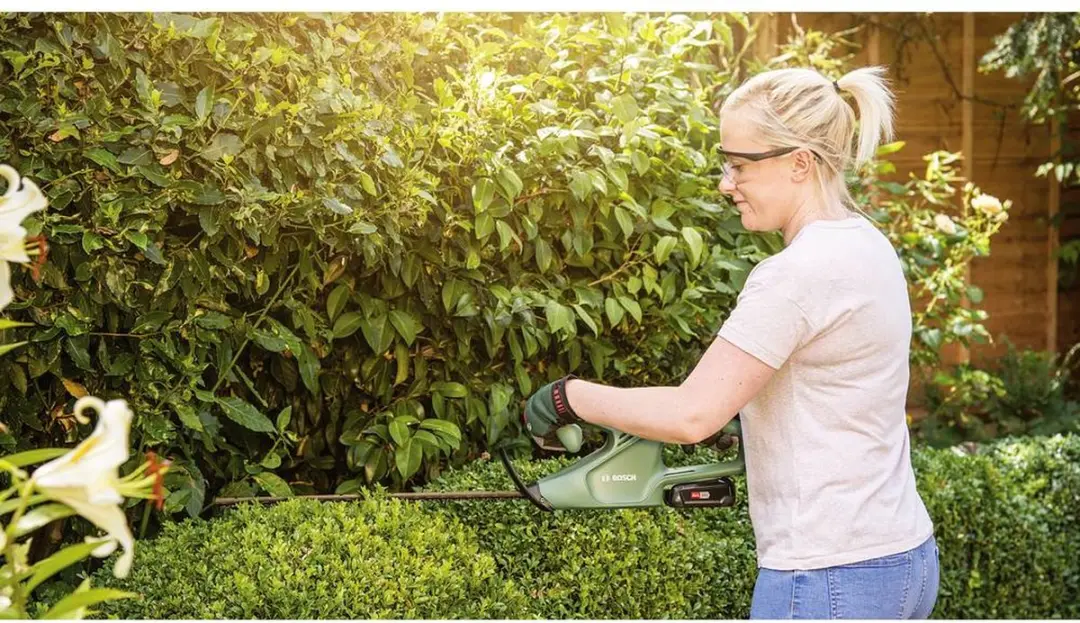 Bosch EasyHedgeCut 18-45 Heggenschaar