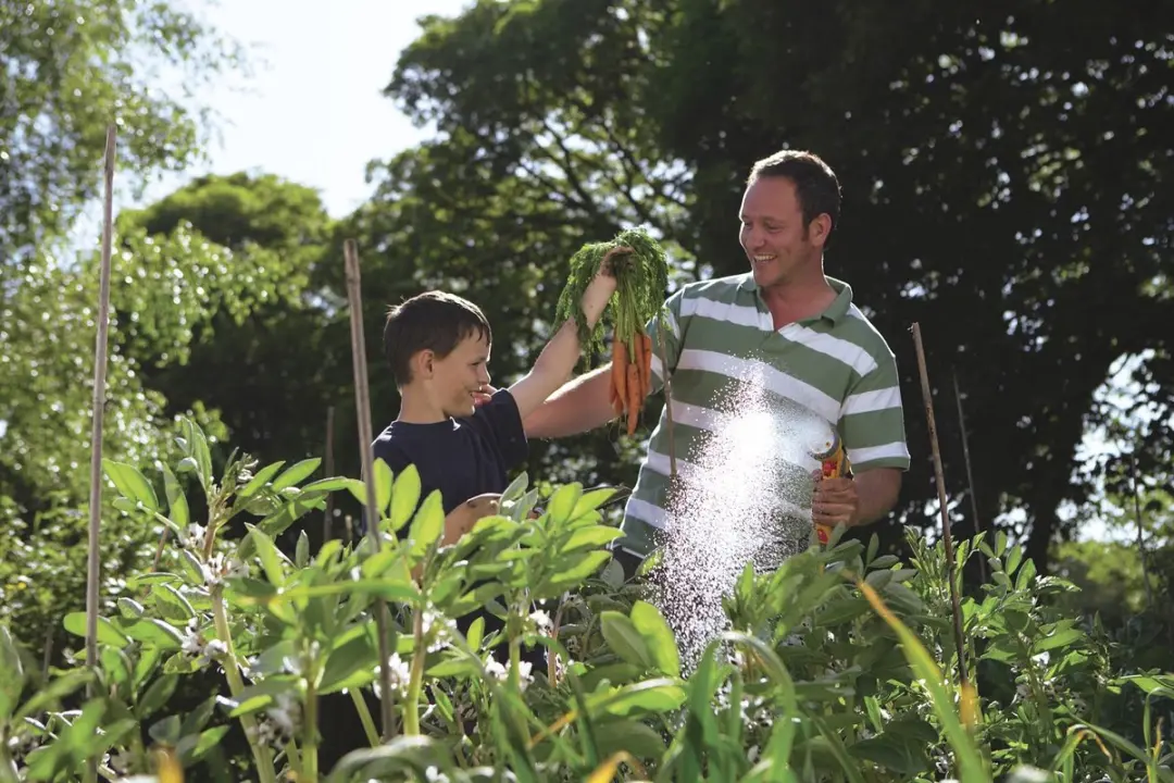 Hozelock Multi-Spray PLUS Broespistool - 6 Sproeistanden - afbeelding 6 van 6