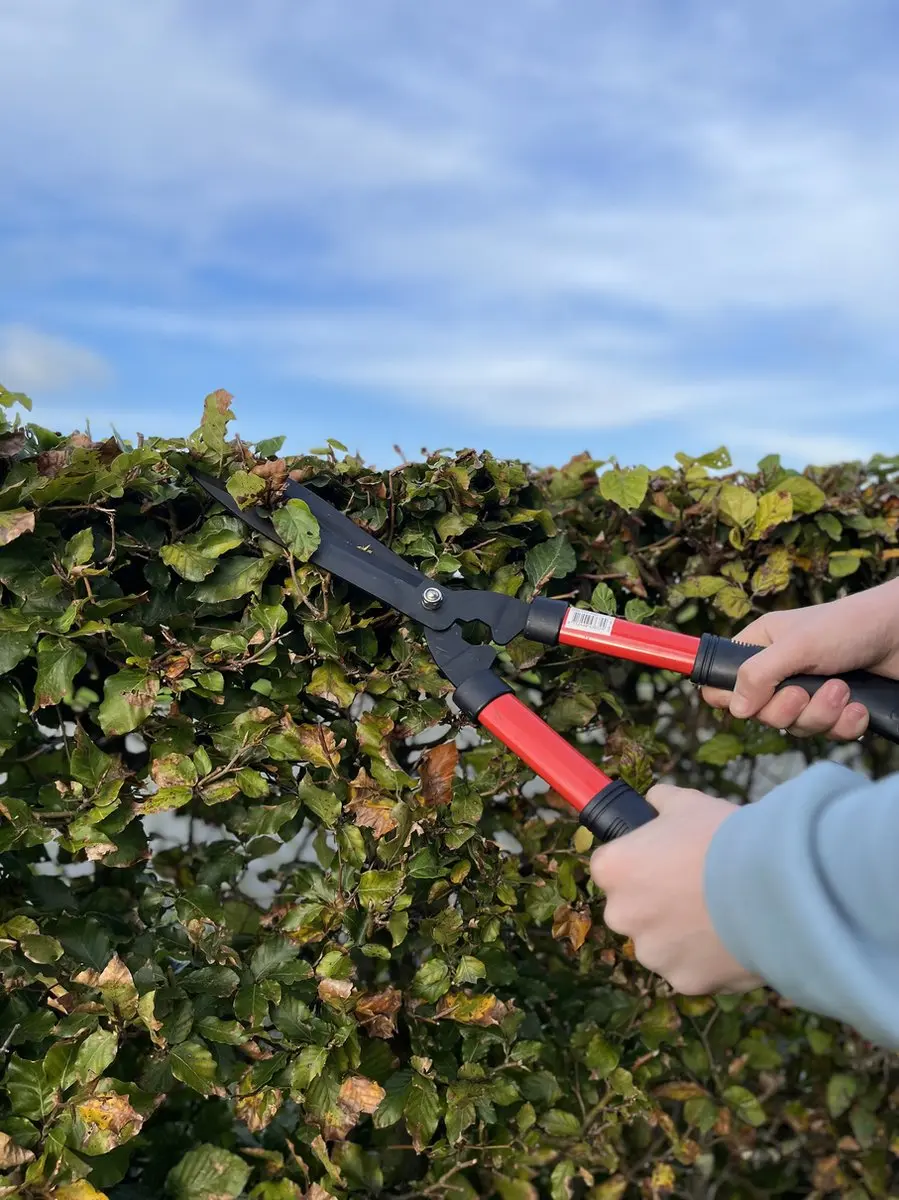 Talen Tools Takkenschaar - Rechte snede