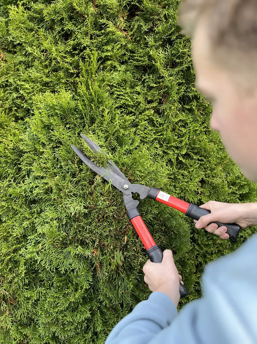 Talen Tools Takkenschaar - Rechte snede