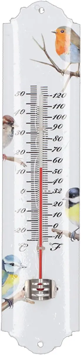 Esschert Design Tuinvogel Thermometer 30x7cm