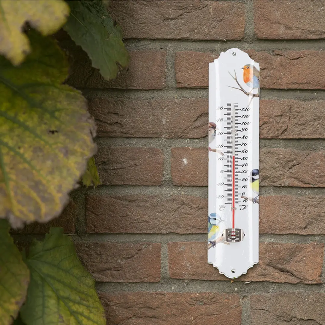 Esschert Design Tuinvogel Thermometer 30x7cm - Celsius/Fahrenheit - afbeelding 2 van 2
