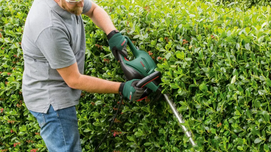 Bosch UniversalHedgeCut 60 Heggenschaar - 60 cm