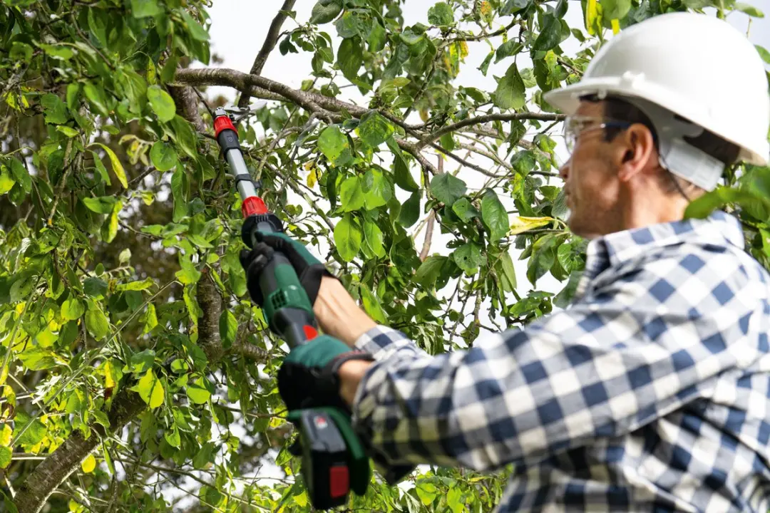 Bosch AdvancedPrune 18V-45 Accutakkenschaar - Verlengstuk
