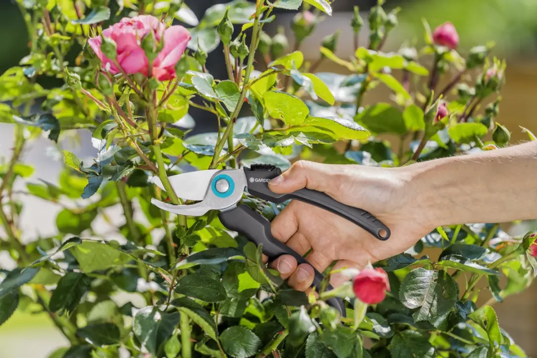 Gardena EcoLine Snoeischaar Ø18mm