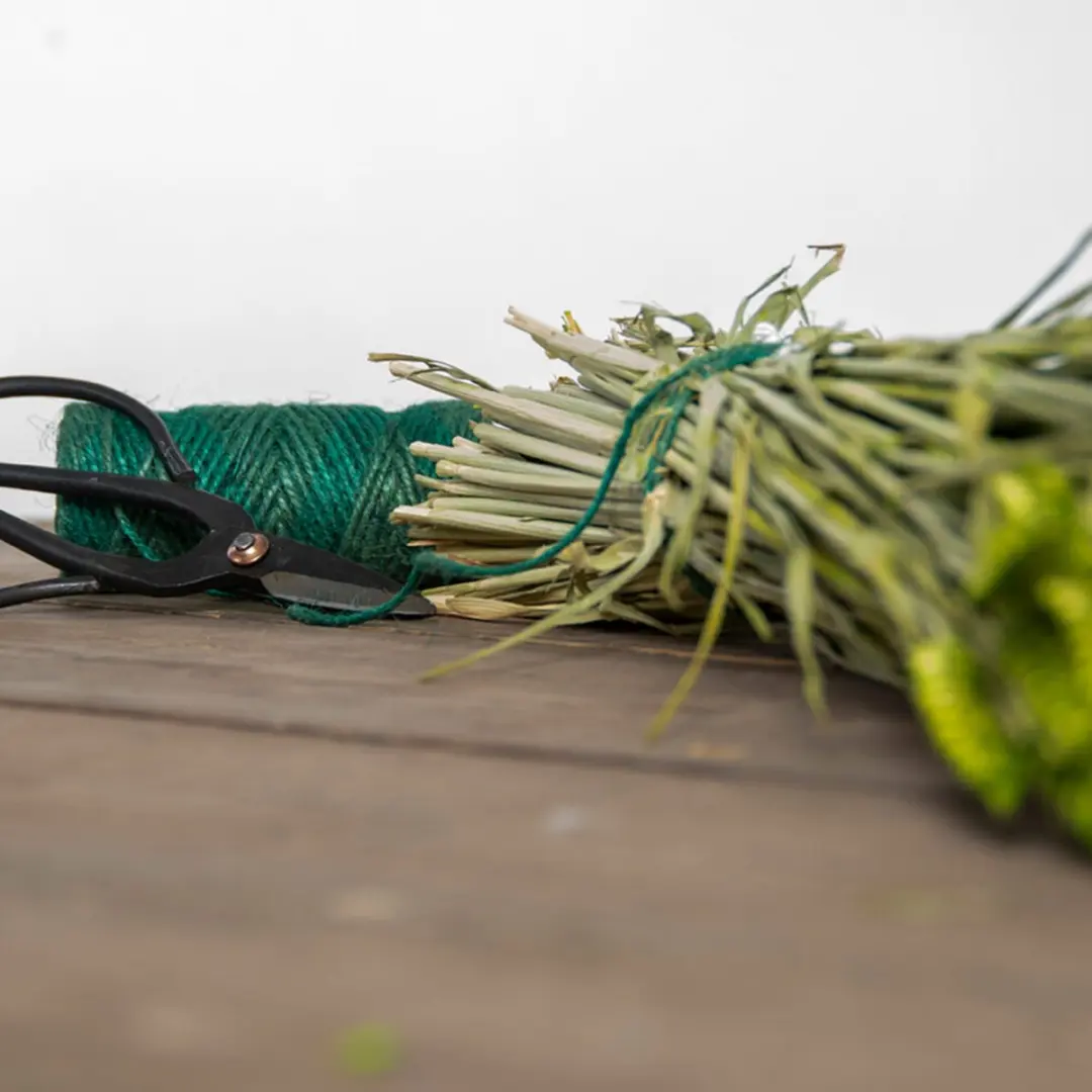 Esschert Design Geschenkset Schaar & Tuintouw - Groen