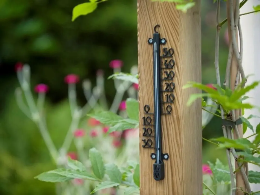 Nature Profielthermometer Metaal - Zwart