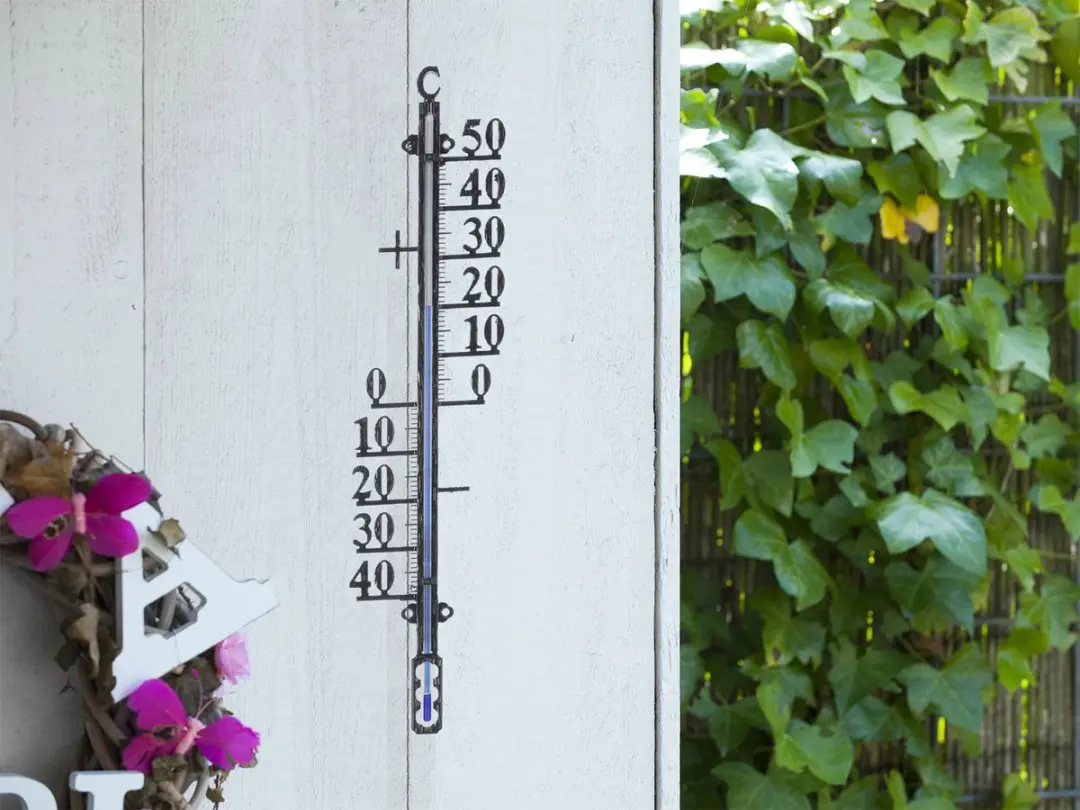 Nature Profielthermometer Metaal - Zwart