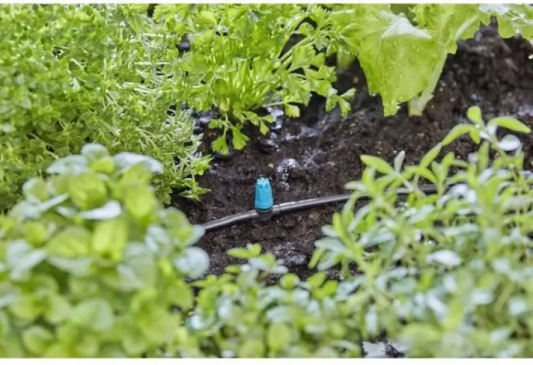 Gardena Online Sprinkler 13316-26 Druppelaar