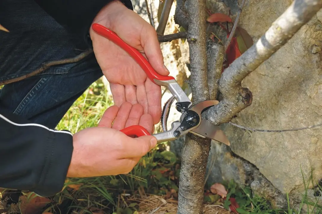 Felco 13 Snoeischaar - Takken tot 30mm