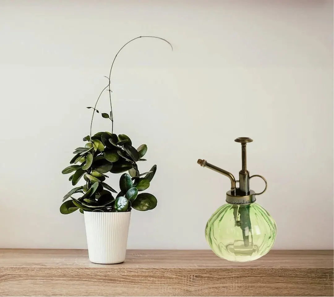 Decoris Glas Plantenspuit 200ml - Lichtgroen