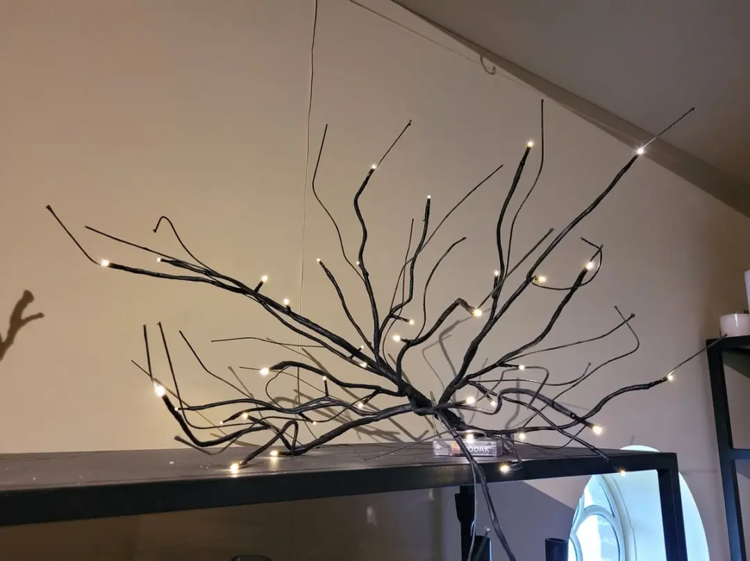 Home Society Tak AXA LED Verlichting 20 Lichtpunten