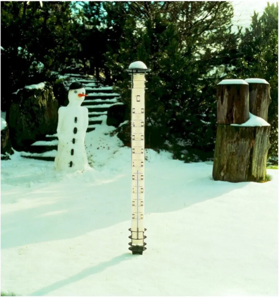 TFA Dostmann JUMBO 12.2002 Analoge Tuinthermometer - Zilver - afbeelding 6 van 6