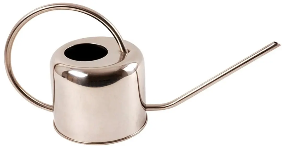 Esschert Design Bloemengieter RVS 1,5L - Zilver