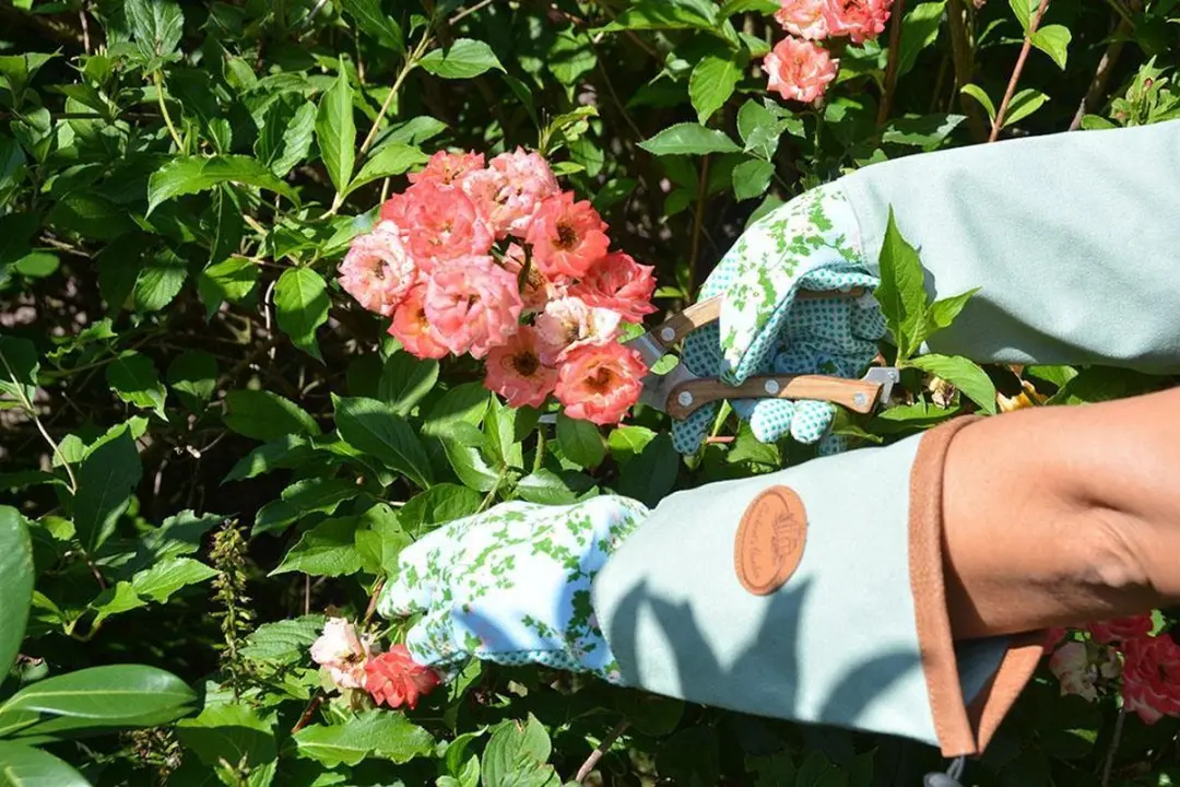 Esschert Design Roosprint Jute Handschoen - Groen/Rozepink