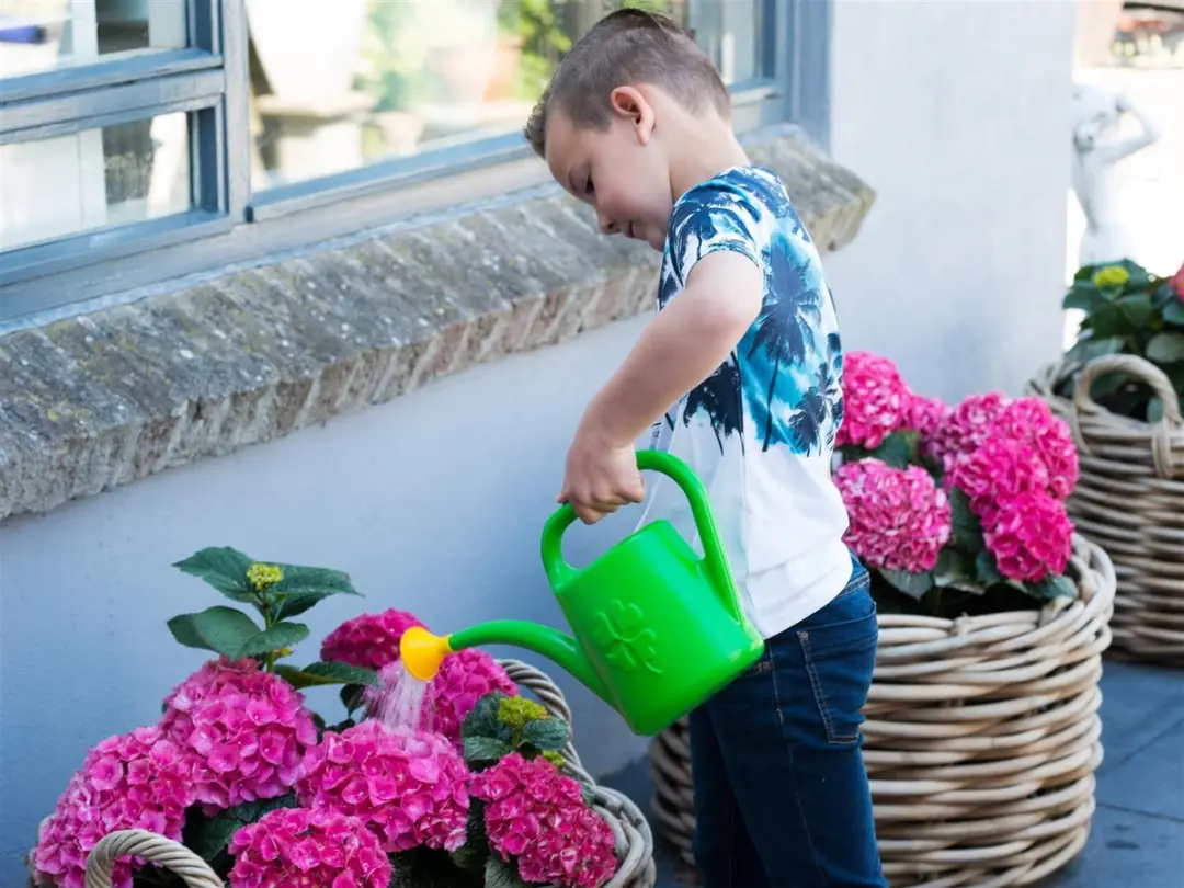 Nature Gieter 2L Kunststof - Groen - met Broeskop