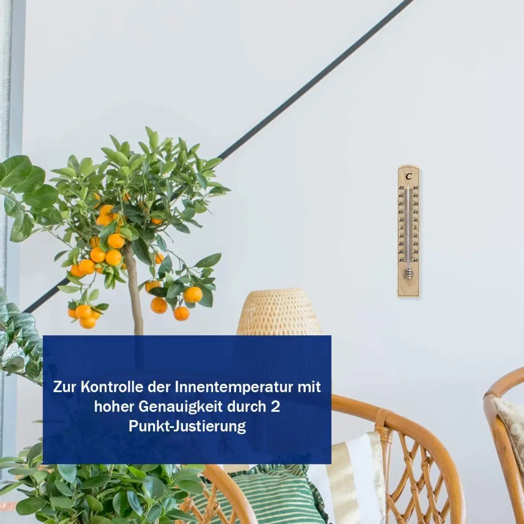 TFA Dostmann Analoog Binnen Thermometer Berkenhout 21x4cm