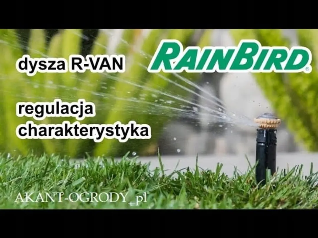 Rain Bird 1804 Zwenksproeier 10cm