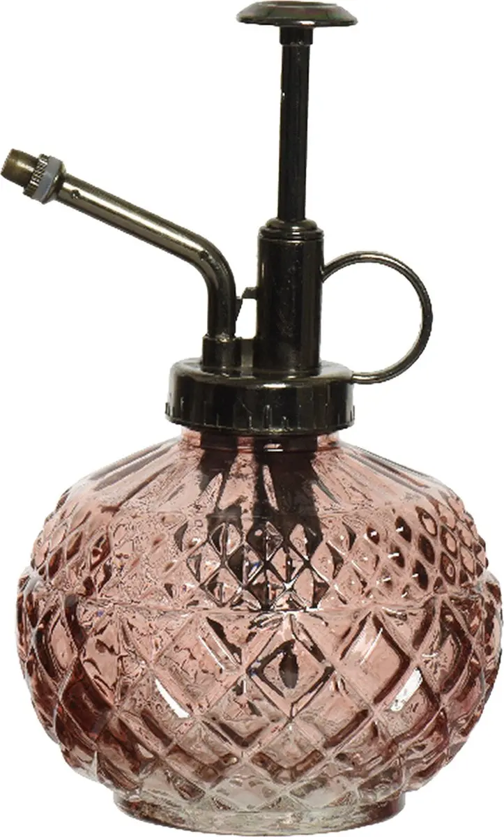Decoris Plantenspuit Glas 450ml