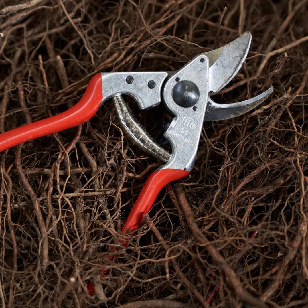 Felco 14 Snoeischaar - 18mm