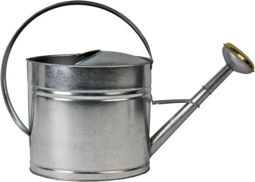 Talen Tools Gieter Verzinkt Staal 8L