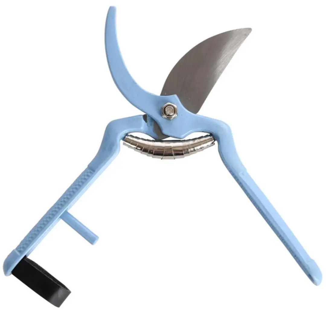 Esschert Design Snoeischaar Blauw