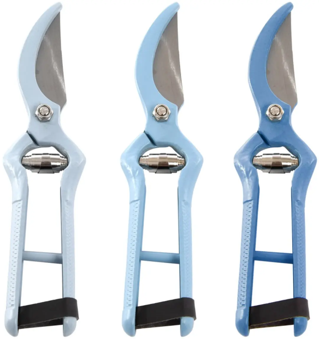 Esschert Design Snoeischaar Blauw