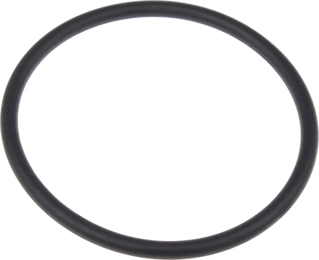 Kärcher O-Ring Sluiting 95x6
