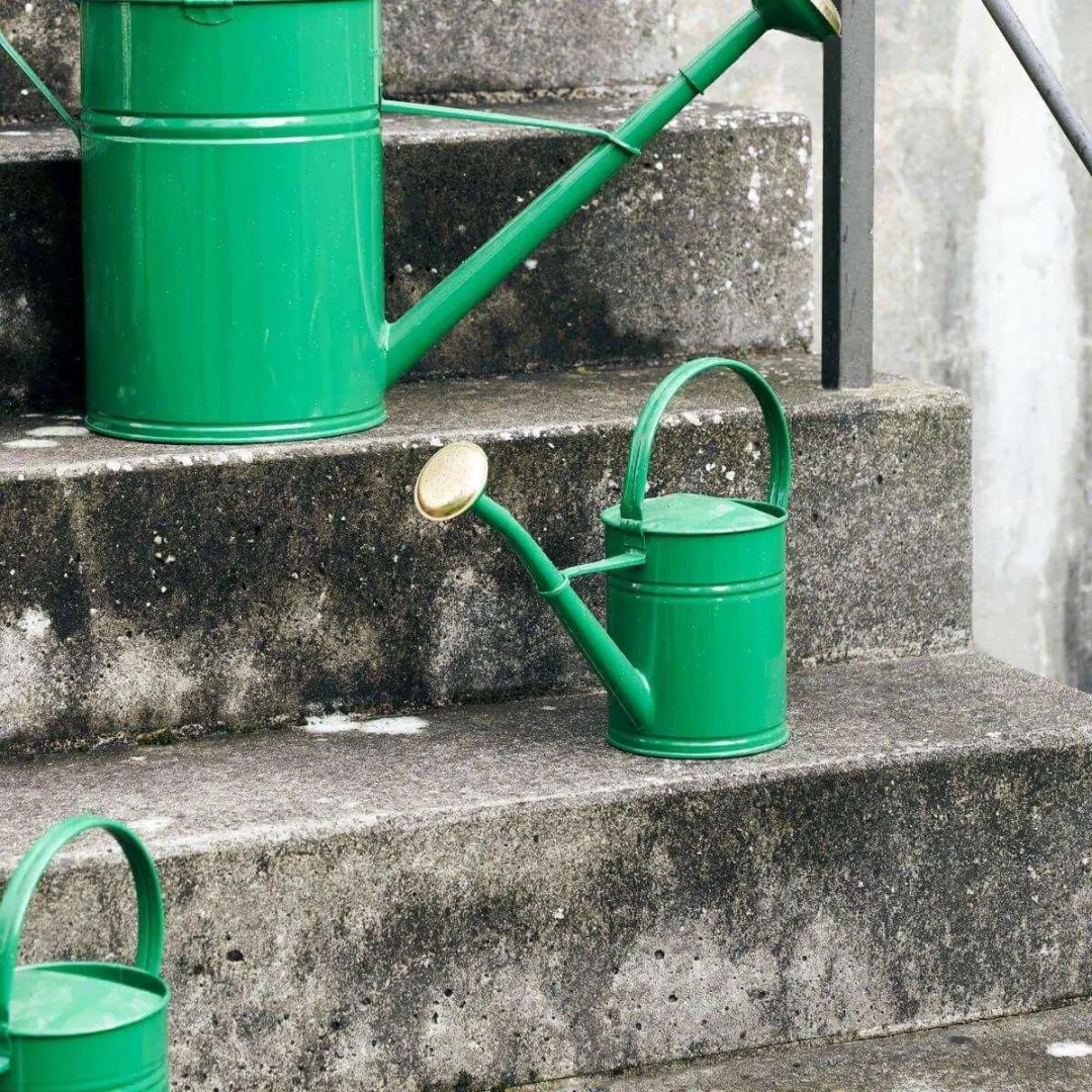 House Doctor Gieter - 2 Liter - Groen - afbeelding 6 van 6