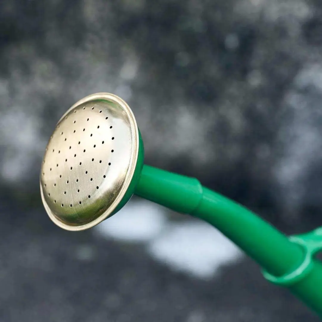 House Doctor Gieter - 2 Liter - Groen