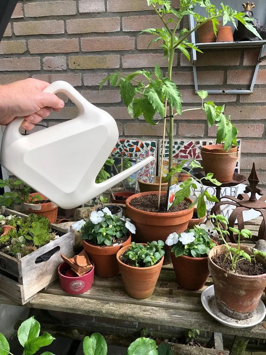 Esschert Design Gieter Junior 0,5L - Groen - afbeelding 6 van 6