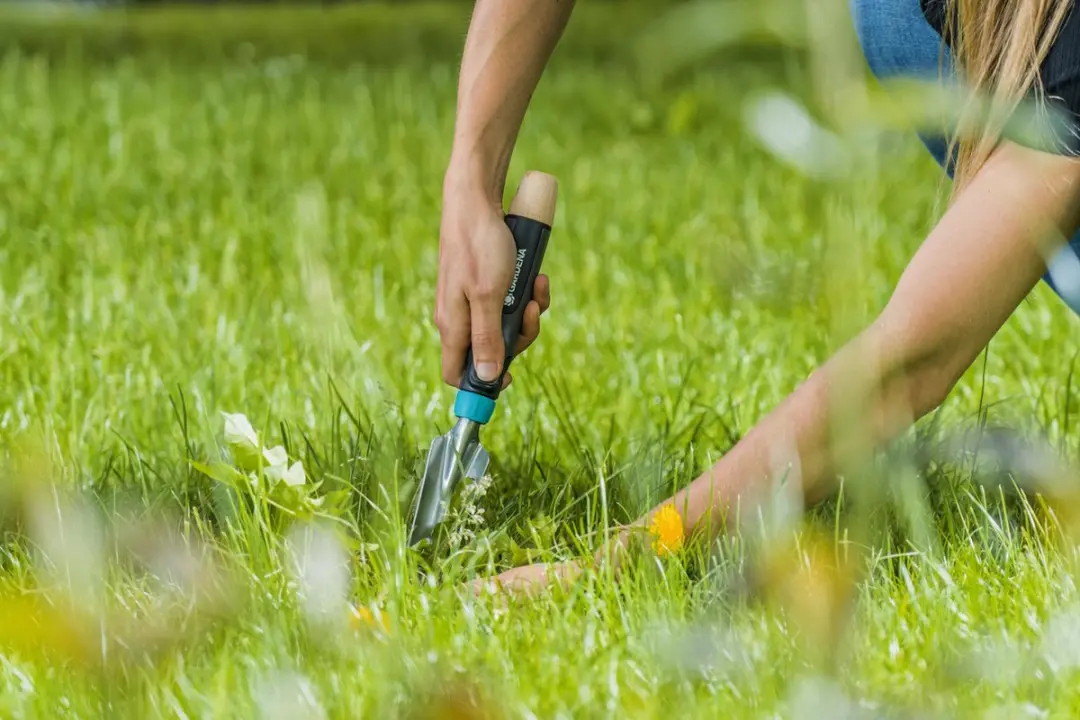 Gardena EcoLine Onkruidsteker