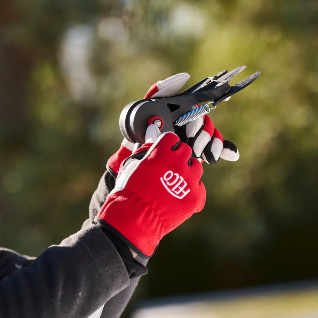 Felco 290 Telescopische Stokschaar - Ø30mm - 4m