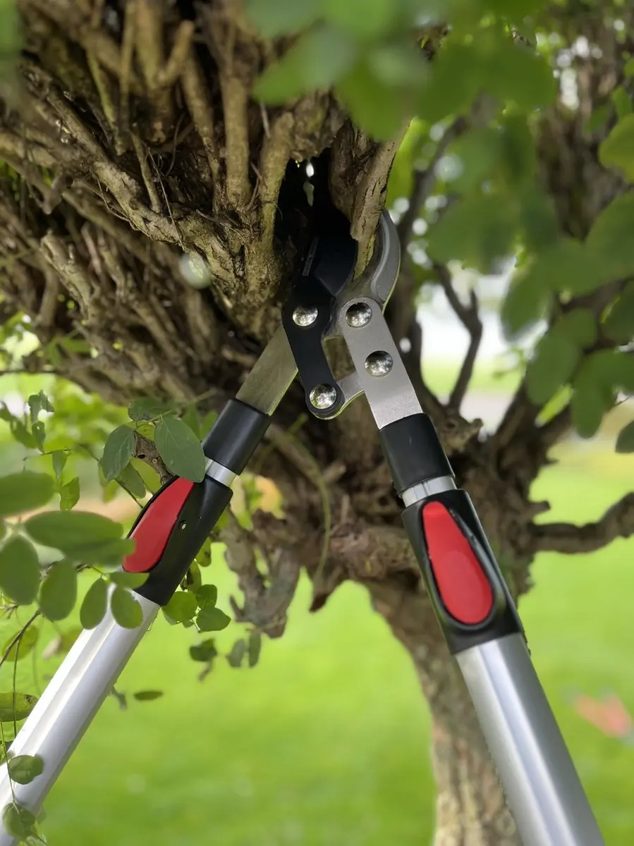 Talen Tools Takkenschaar Telescopisch 66-99cm - 45mm
