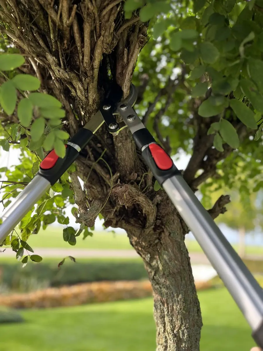 Talen Tools Takkenschaar Telescopisch 66-99cm - 45mm