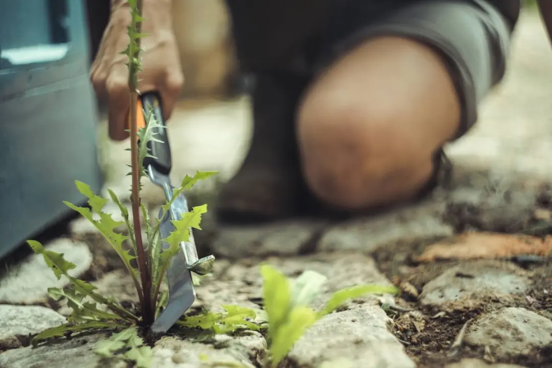 Fiskars Onkruidsteker 2 Bladen - Softgrip Handgreep