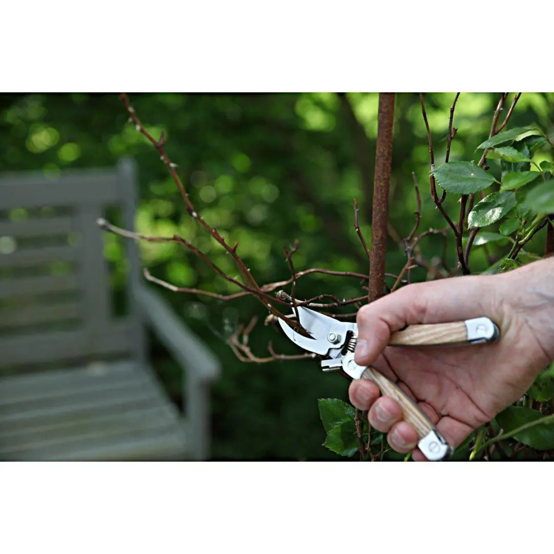 Esschert Design RVS Tuin Multitool - Snoeischaar Inclusief