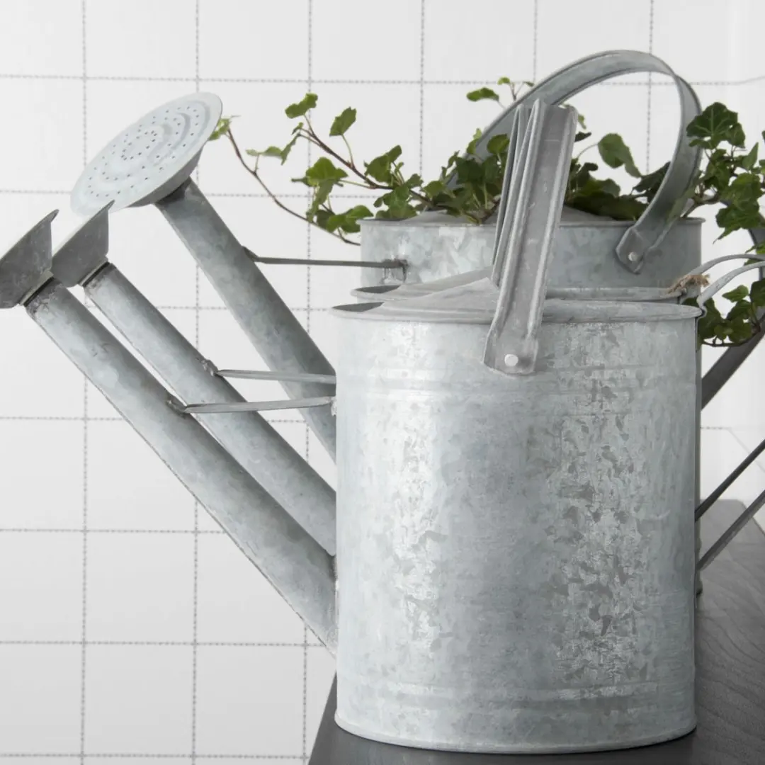Esschert Design Zink Gieter 3.5L - 42x17.5x24cm