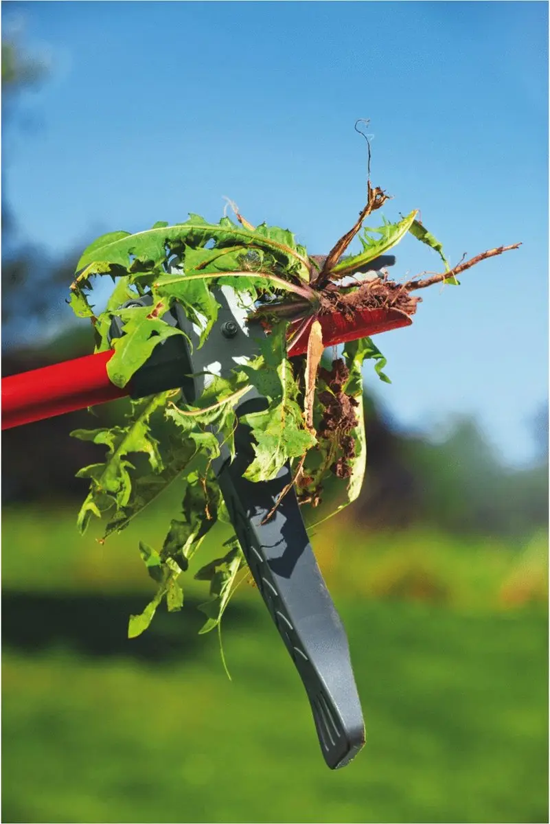 WOLF-Garten Multi-Star iW-A Onkruidsteker 110cm - D-greep