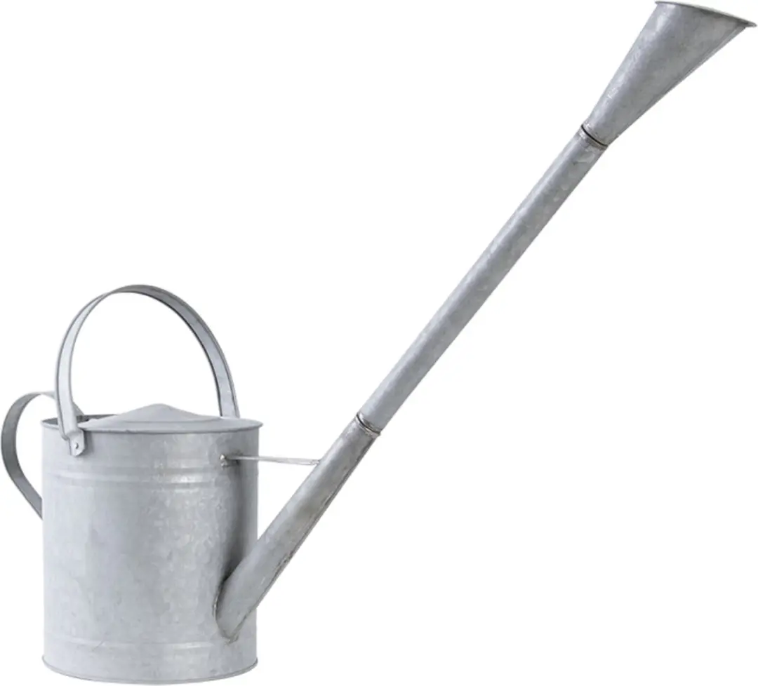 Esschert Design Oud Zinken Gieter 6L - Zilverkleurig