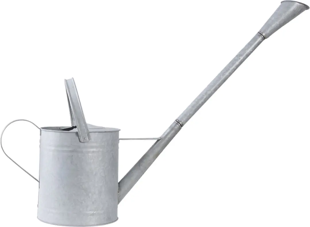 Esschert Design Oud Zinken Gieter 6L - Zilverkleurig