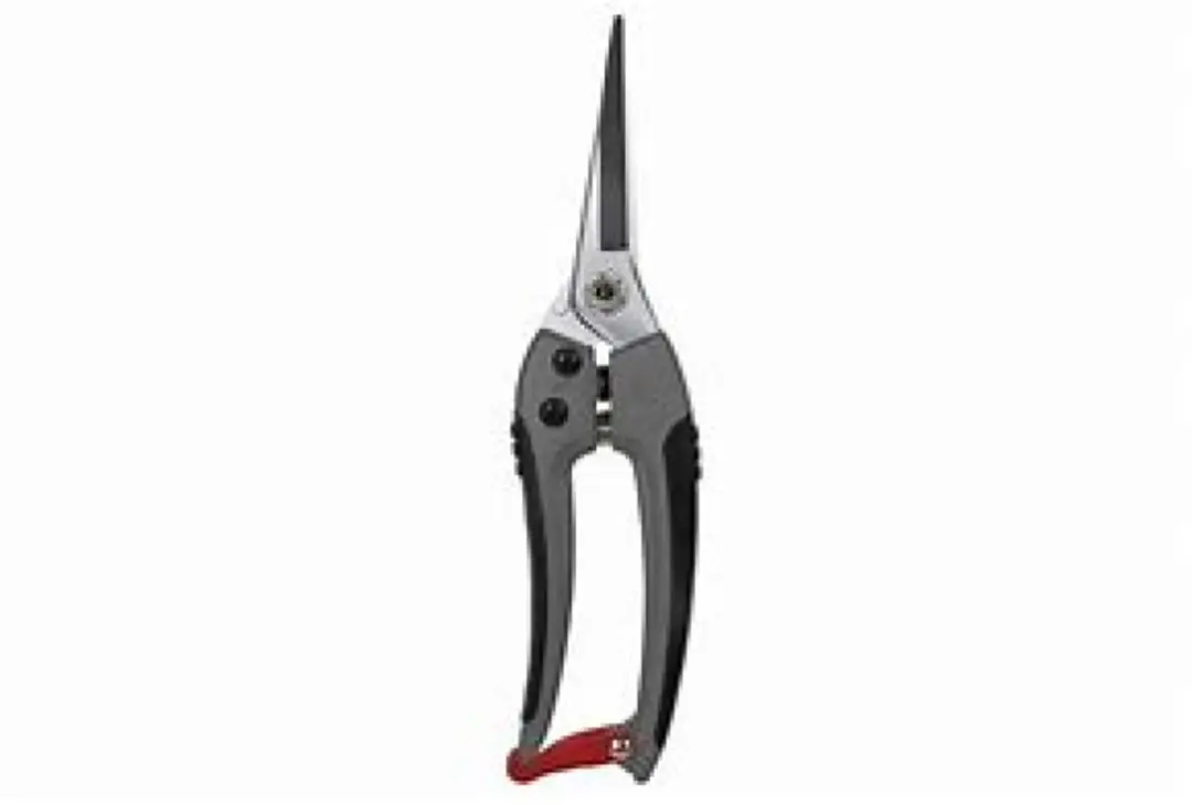 Talen Tools Bloemenschaar Premium 21cm